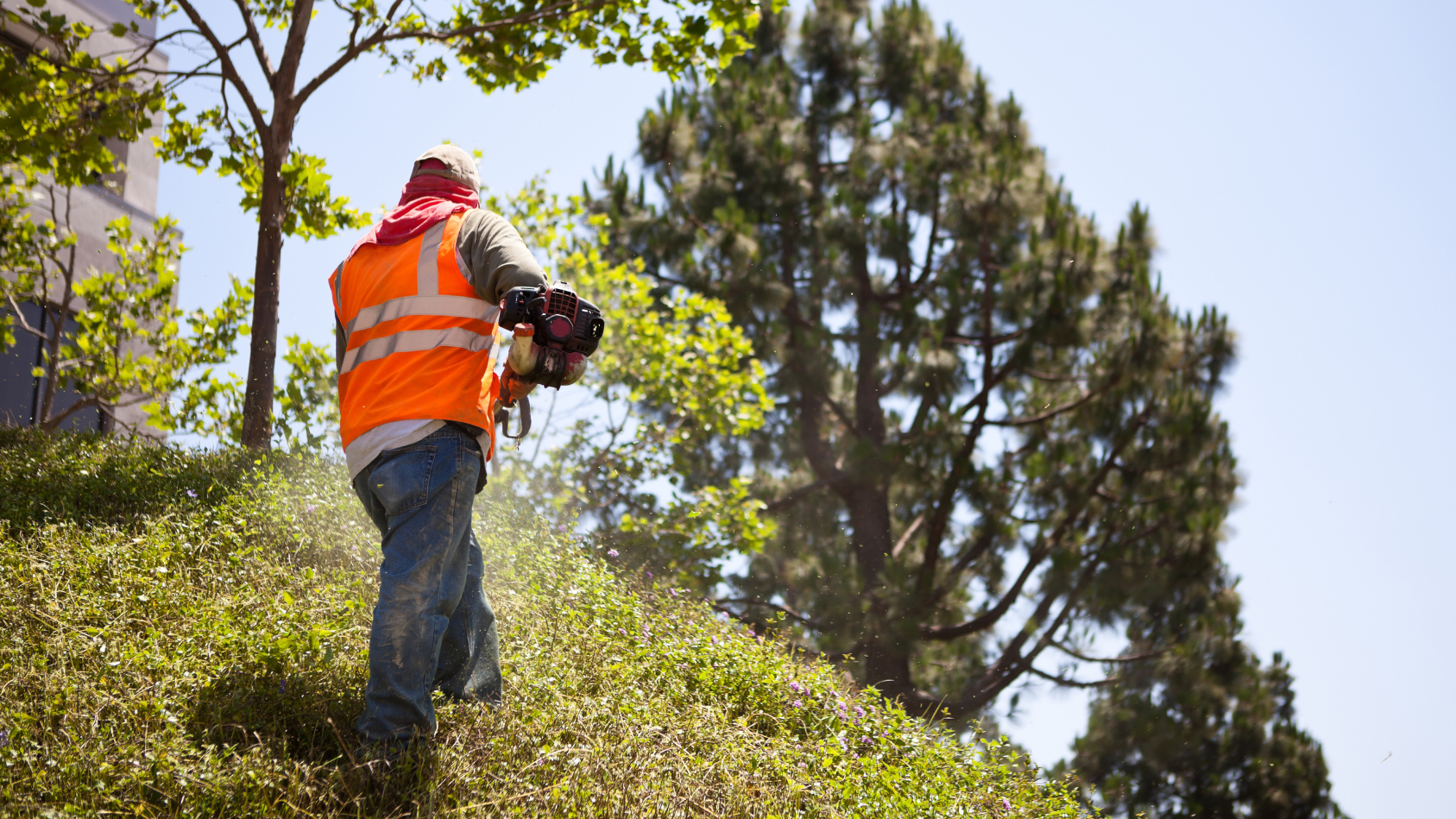 Groundskeeping Brisbane